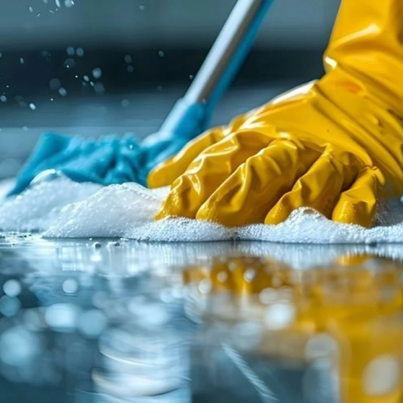 Standard Cleaning
